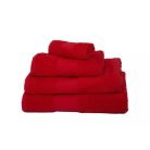 Handtuch 50x100 cm - mit einfarbiger Beschriftung 